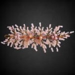 Bridal Hair Vine – Gold-Plated Wire with Pearls & Crystal Beads  for Women & Girls