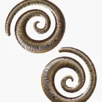 Gold plated  Spiral Statement Earring